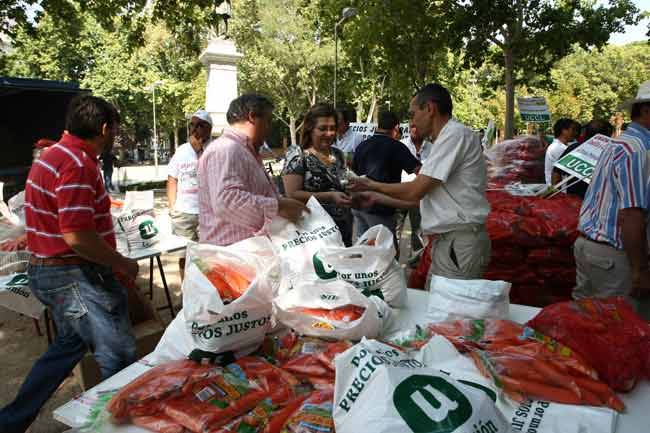 Mercadillo contra los transgénicos Mercadillo contra los transgénicos