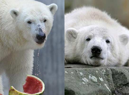 Gianna y Knut Gianna y Knut