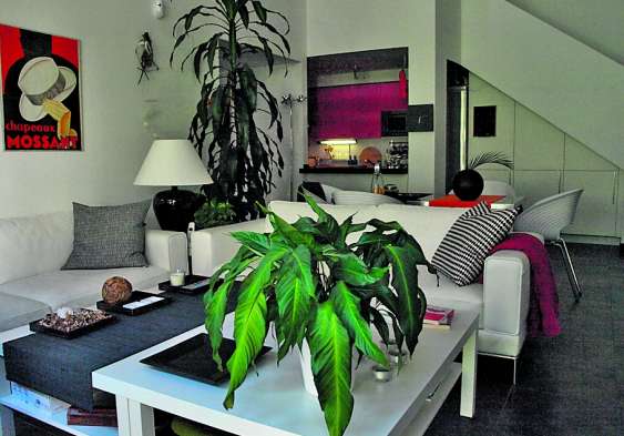 Salón de una vivienda en Navalcarnero Salón de una vivienda en Navalcarnero