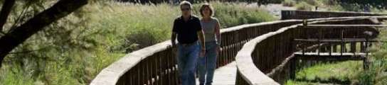Las Tablas de Daimiel