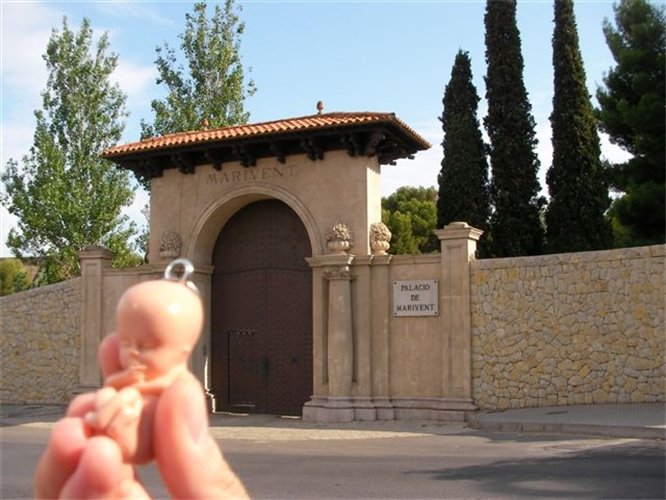 Bebe Aído Bebe Aído