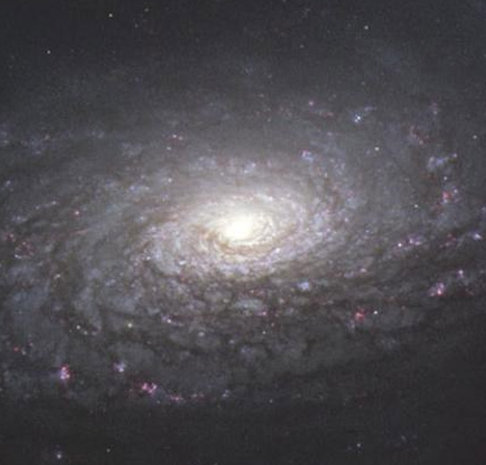 Universo Universo