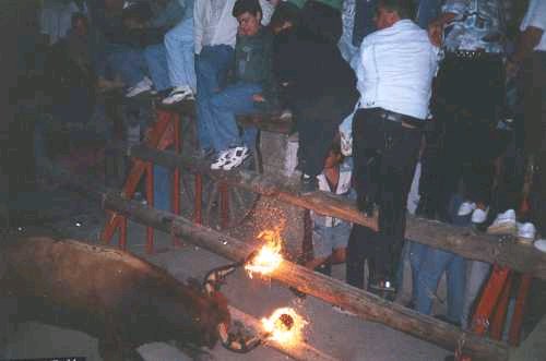 El 'toro embolao' El 'toro embolao'