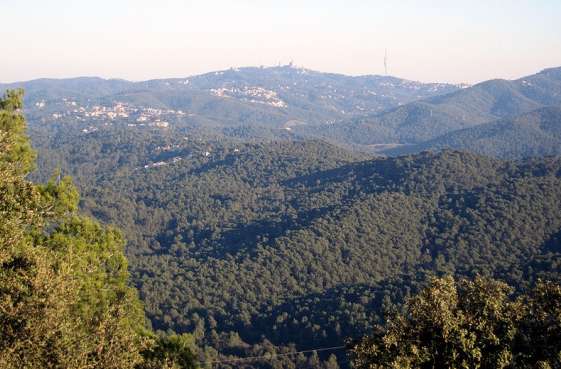Sierra de Collserola. Sierra de Collserola.