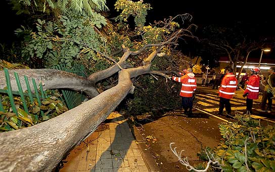 Temporal en Canarias Temporal en Canarias