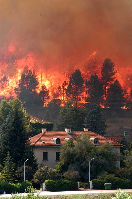 Incendio Forestal Incendio Forestal