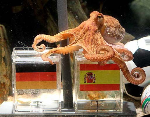 El pulpo Paul El pulpo Paul