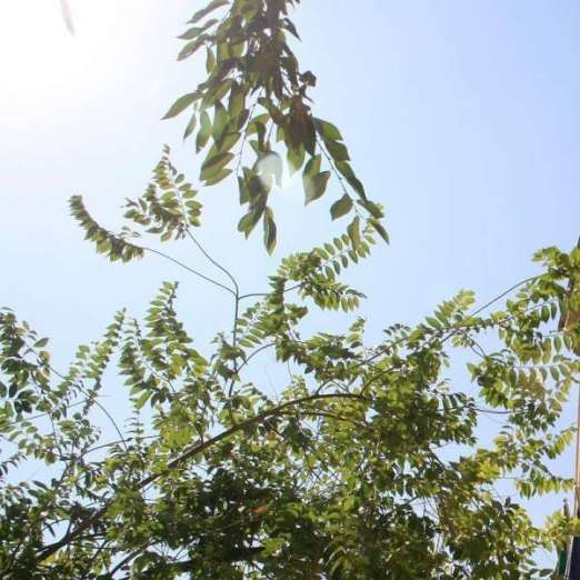 Subidas de temperaturas Subidas de temperaturas