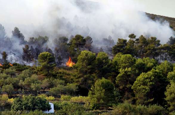 Incendio de Ontiyent Incendio de Ontiyent