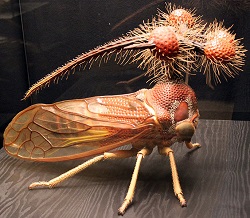 Resultado de imagen para el insecto mas raro del mundo