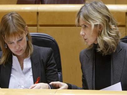 Leire Pajín y Cristina Garmendia