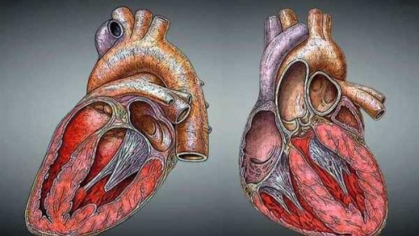 Corazón Corazón