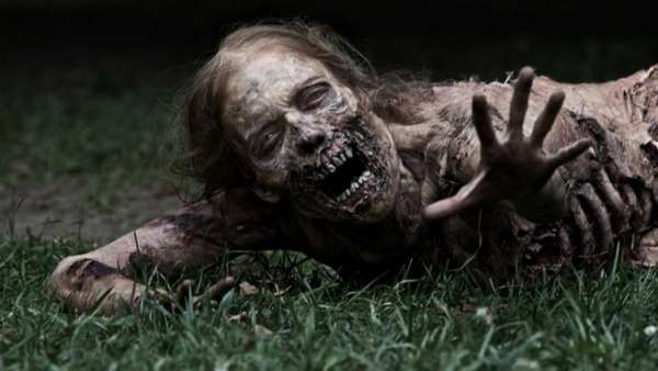 'The Walking Dead' 'The Walking Dead'
