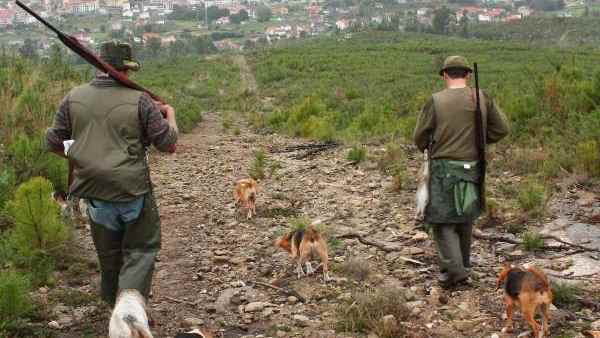 Cazadores con sus armas y sus perros Cazadores con sus armas y sus perros