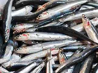 Boquerones
