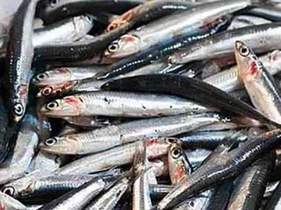 Boquerones
