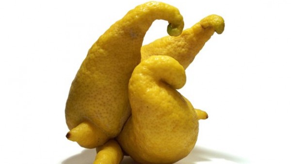 Limón Limón