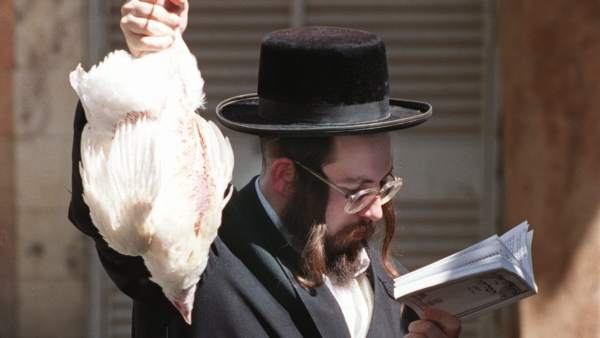 Rabino Rabino