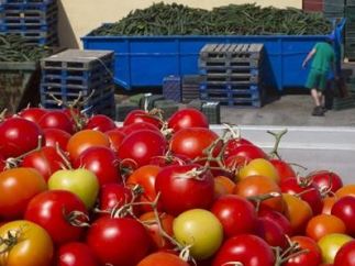 Tomates