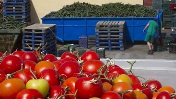 Tomates Tomates