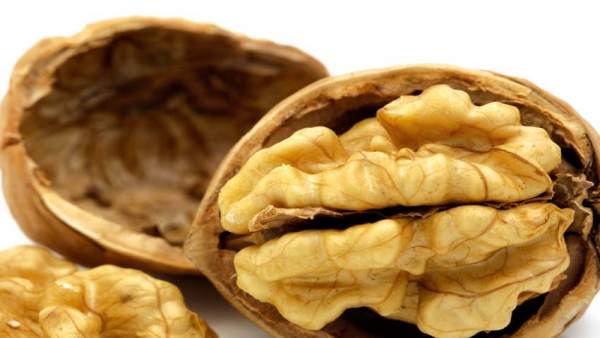 Nueces Nueces