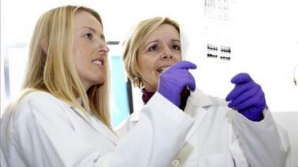 Investigadores Investigadores