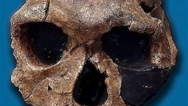 Homo sapiens Homo sapiens