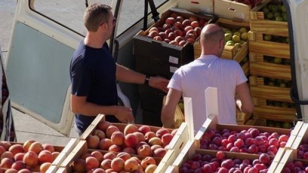 Reparto de alimentos. Reparto de alimentos.