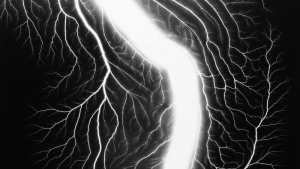 'Lightning Fields 236' 'Lightning Fields 236'