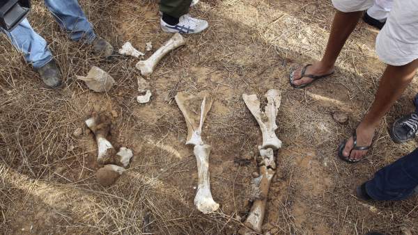 Fosa común en Libia Fosa común en Libia