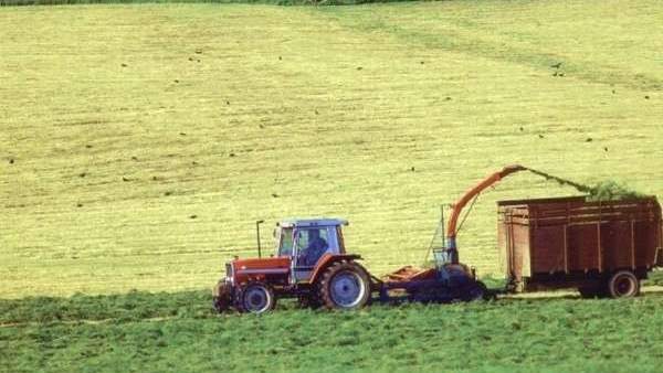 Agricultura Agricultura