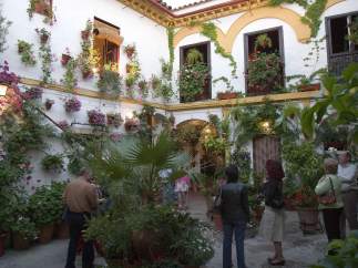Patio cordobés