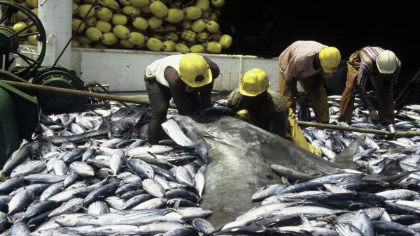 Pesca Pesca