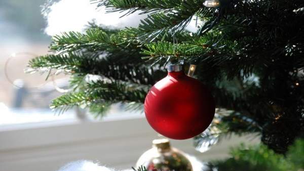 Árbol de Navidad Árbol de Navidad