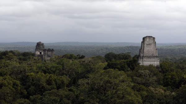 Mayas Mayas