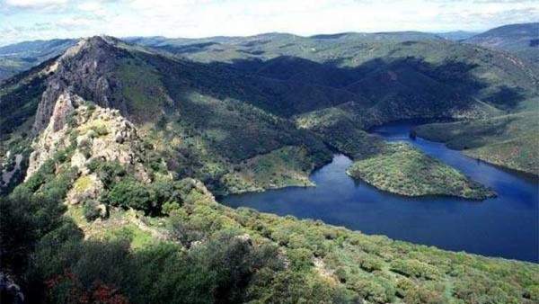 Resultado de imagen de bosque mediterraneo