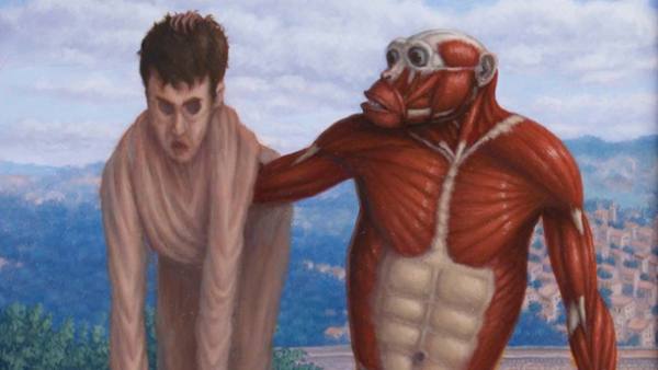 'Anatomical Chimp with Hide' 'Anatomical Chimp with Hide'