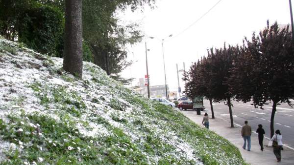 Polen en un jardín Polen en un jardín