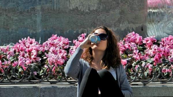 Primavera Primavera
