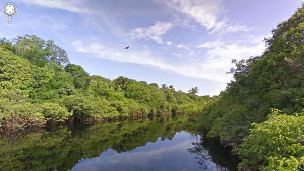 Amazonas Amazonas