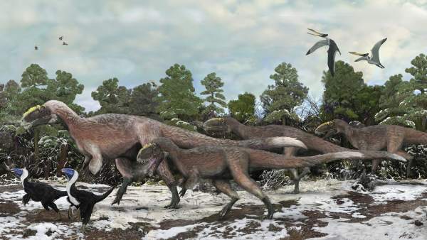 Yutyrannus Yutyrannus