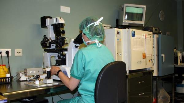 Contaminación e infertilidad femenina Contaminación e infertilidad femenina