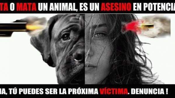Maltrato animal Maltrato animal
