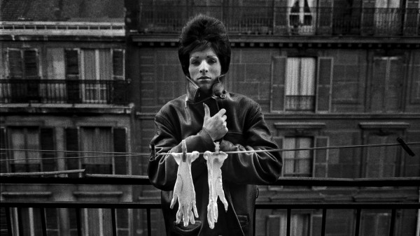 'Pepita, 1963' 'Pepita, 1963'
