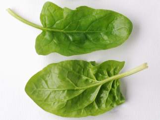 Espinacas