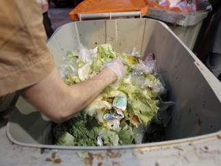 Comida basura