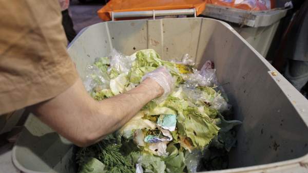 Comida basura Comida basura