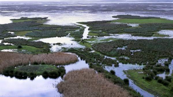 Doñana Doñana