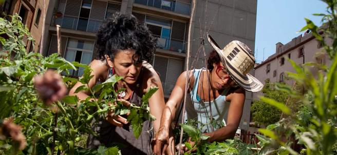 Mujeres en un huerto urbano de Barcelona