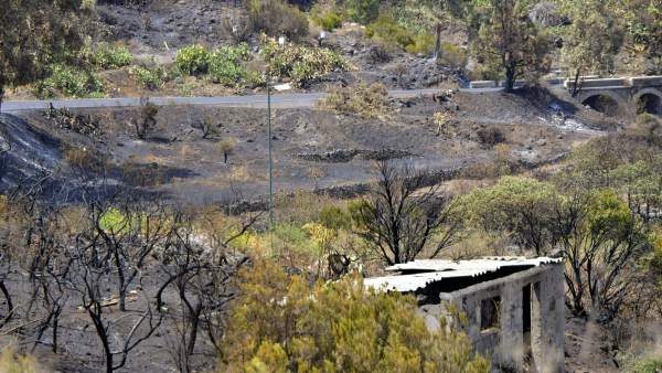 Incendio en La Palma Incendio en La Palma
